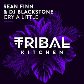 SEAN FINN & DJ BLACKSTONE - CRY A LITTLE